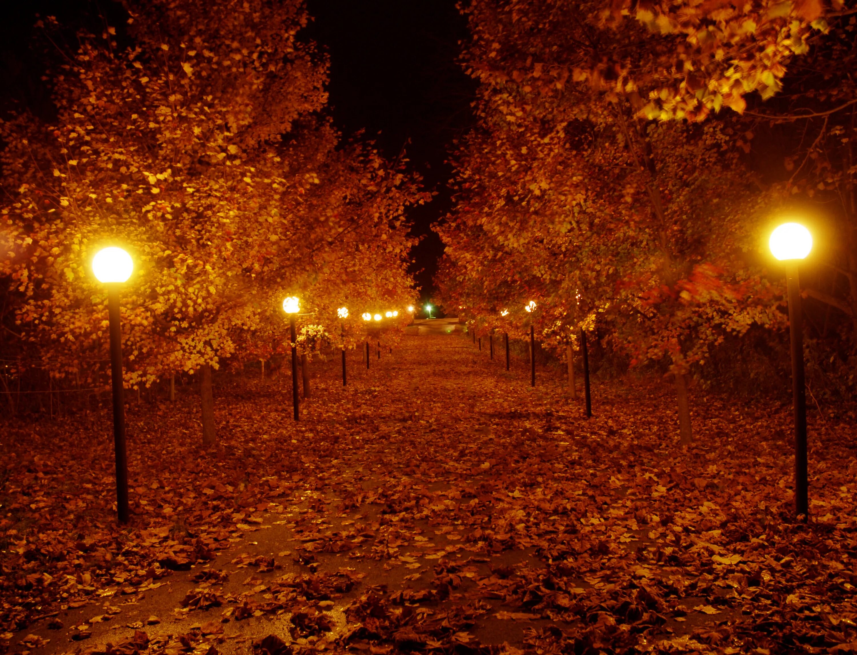 Красивая ноябрьская ночь. Осенний вечер. Осень вечер. Осенняя ночь. Осень ночь.