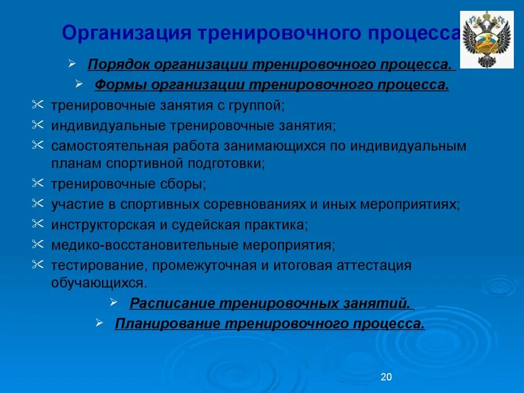 Организации спортивной подготовки в российской федерации. Организация учебно-тренировочного процесса. Формы организации тренировочных занятий. Формы проведения тренировочного процесса. Организация спортивной подготовки.