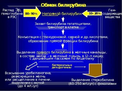 Прямой и непрямой билирубин