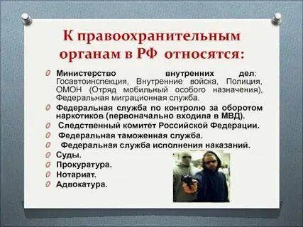 Правительство относится к правоохранительным органам