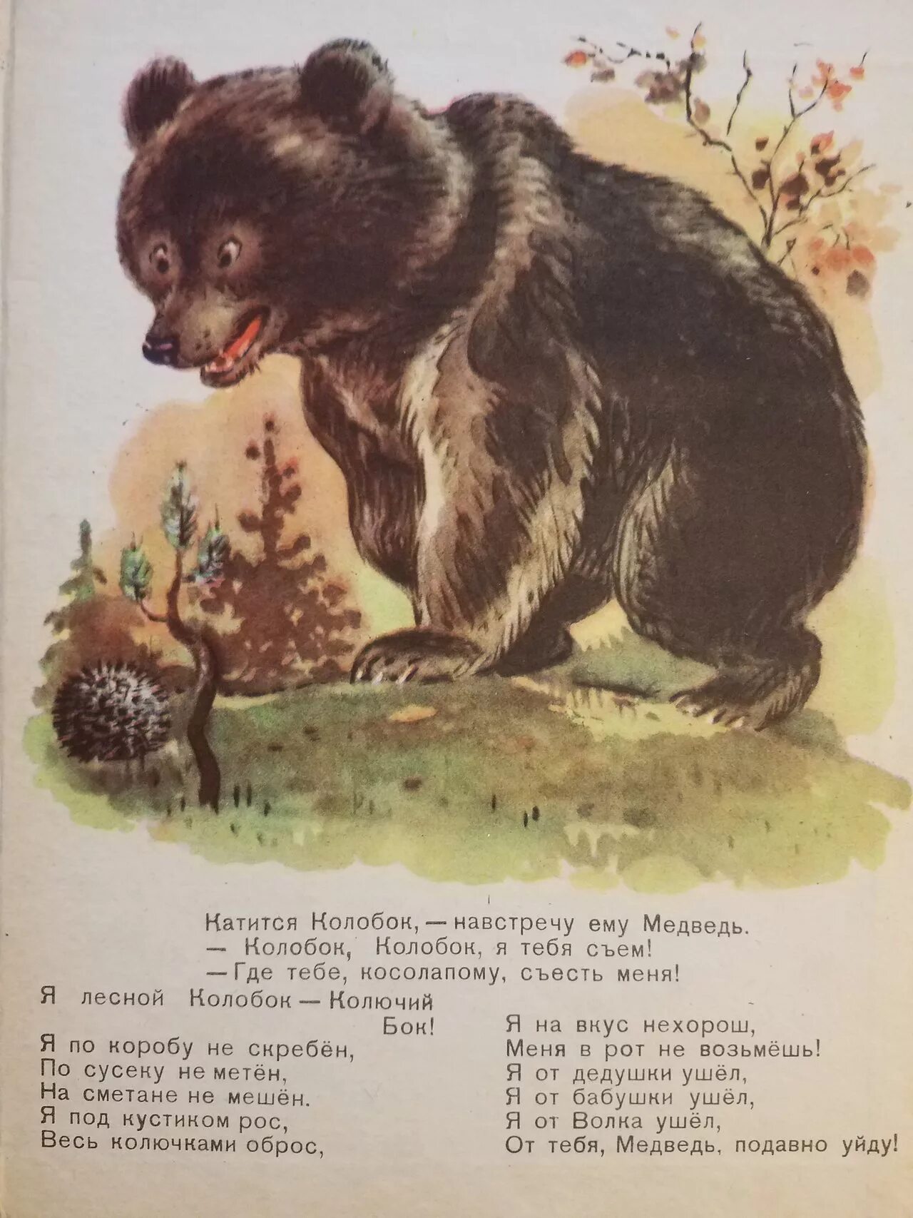 Сказка бианки колобок. Виталий бианки лесной колобок колючий бок. виталий бианки лесной колобок. сказка лесной колобок колючий бок. колобок колючий бок в бианки.