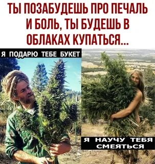 Я занесу букет к тебе