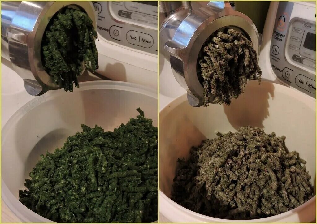 Высушишь пропущенный. Высушишь пропущенный. 6 грамм канабиса. Копорский чай. Высушишь пропущенный.