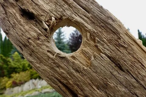 Hole hole краснодар