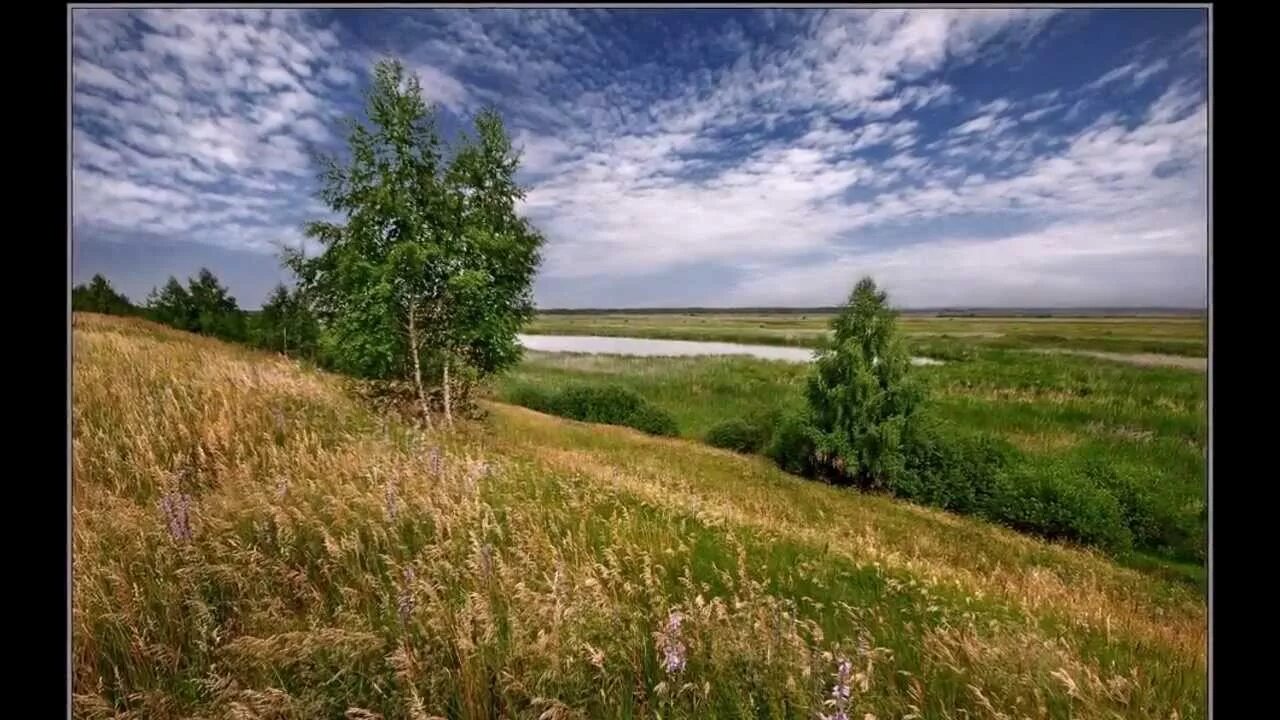 Далекий край любимый край. Родной край Есенина. Есенин о родном крае. Есенин природа и Родина. Мой край задумчивый и нежный Есенин.