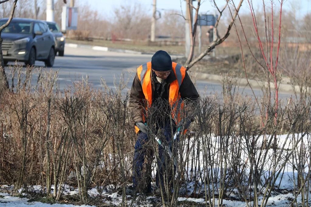 мку сервисный центр города тулы