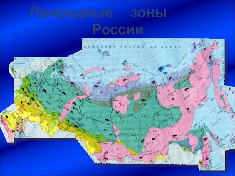 Природная зона пустыня расположение. Природные зоны. Карта природных зон. Природные зоны России. Зона арктических пустынь на карте России.