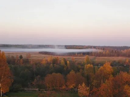 Тихвинский лес