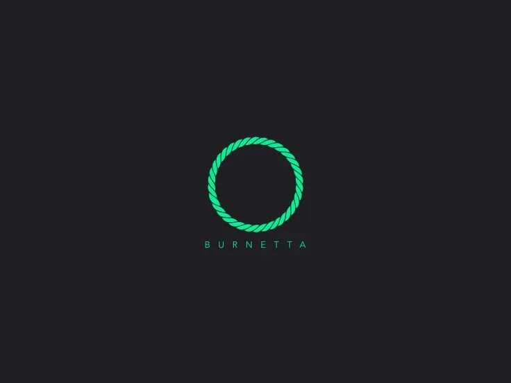 Интро логотипа. Анимация для интро. gif логотип. строгий логотип. лого для интро.