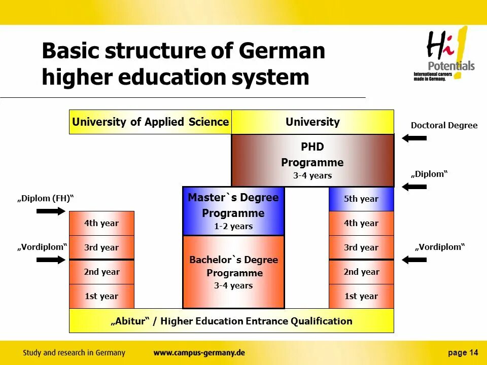 Structure of the university