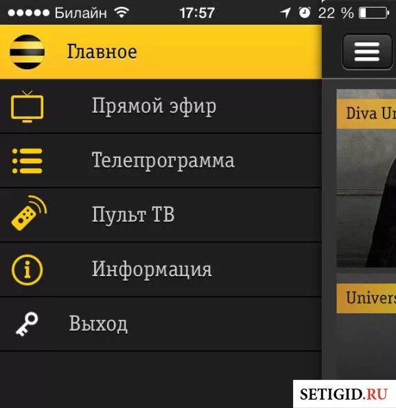 Билайн ТВ. Приложение Билайн ТВ. Телевидение Билайн ТВ. Билайн ТВ на смартфоне.