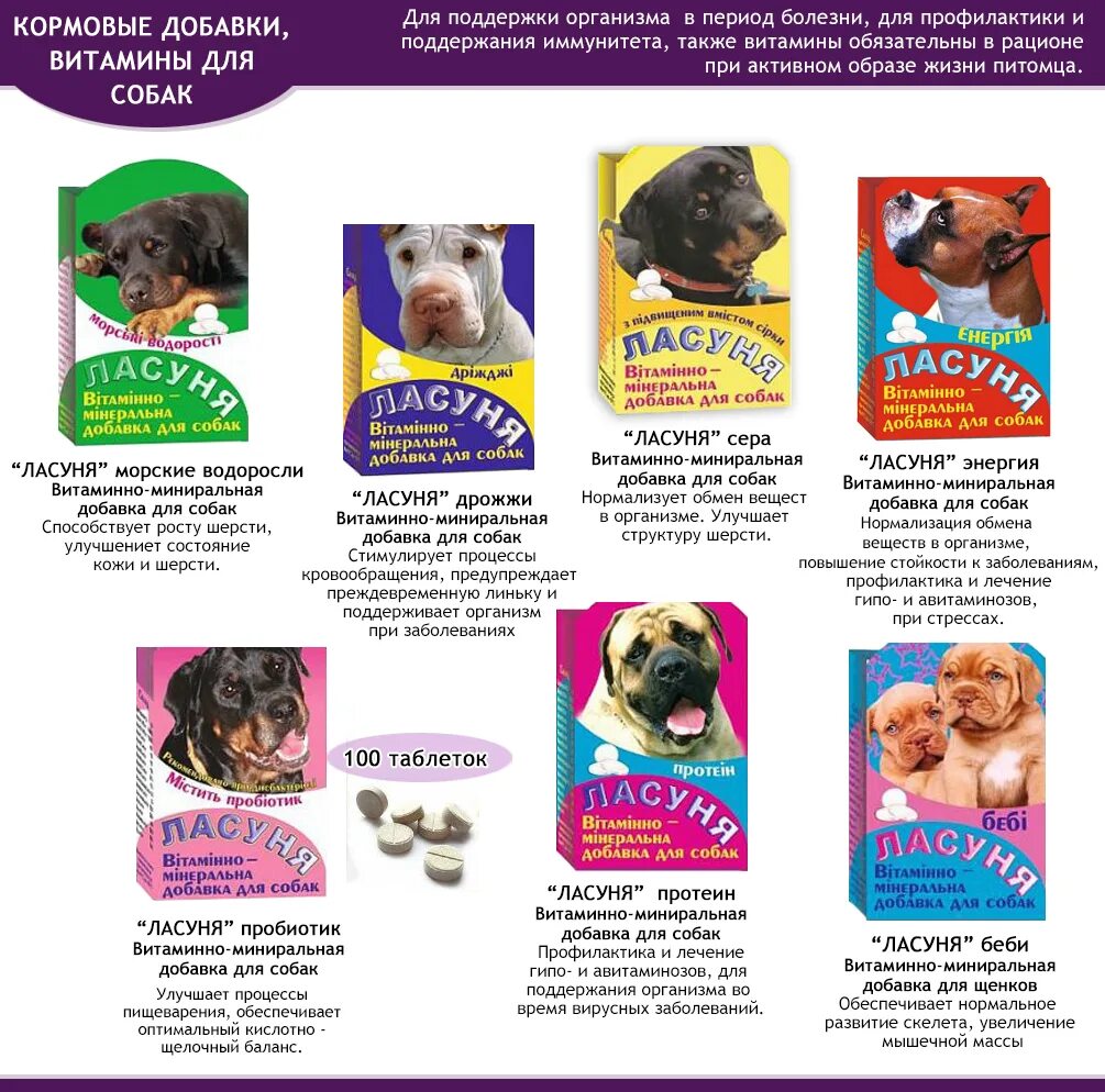 Витамин д для собак. Еда для собак. Canina canhydrox gag forte. Какие витамины нужно давать собакам. Витамины для собак для суставов canina.