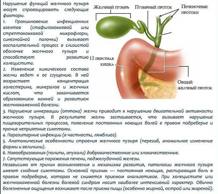 Жалобы при холецистите. Отключенного желчного пузыр. Измененный желчный пузырь. Симптомы патологии желчного пузыря. При заболеваниях желчного.