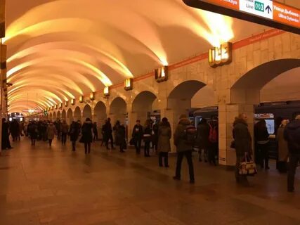 Оранжевая ветка спб