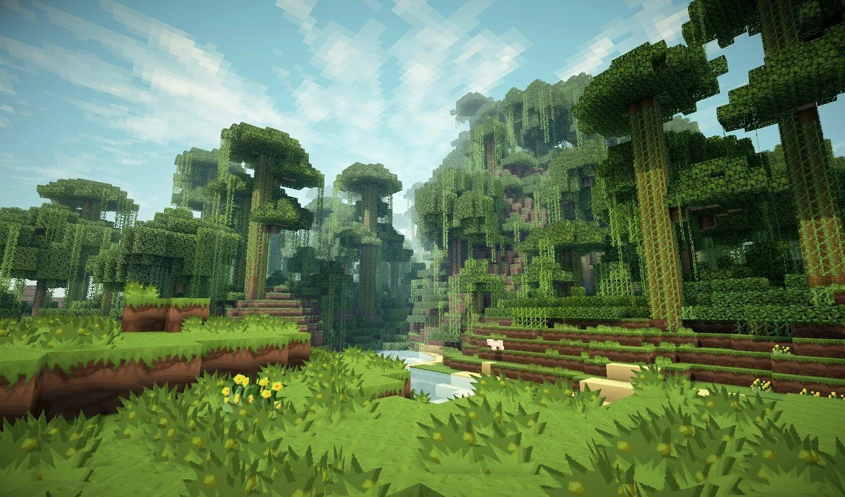 i