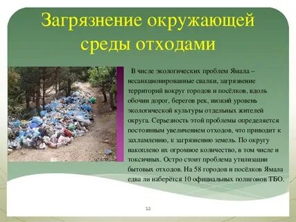 8 экологических проблем