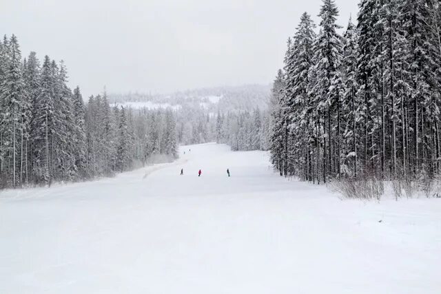 Гора белая нижний тагил лыжи. Белая гора горнолыжный курорт карта трасс. Гора белая трассы. Гора белая трассы. Гора белая трассы.