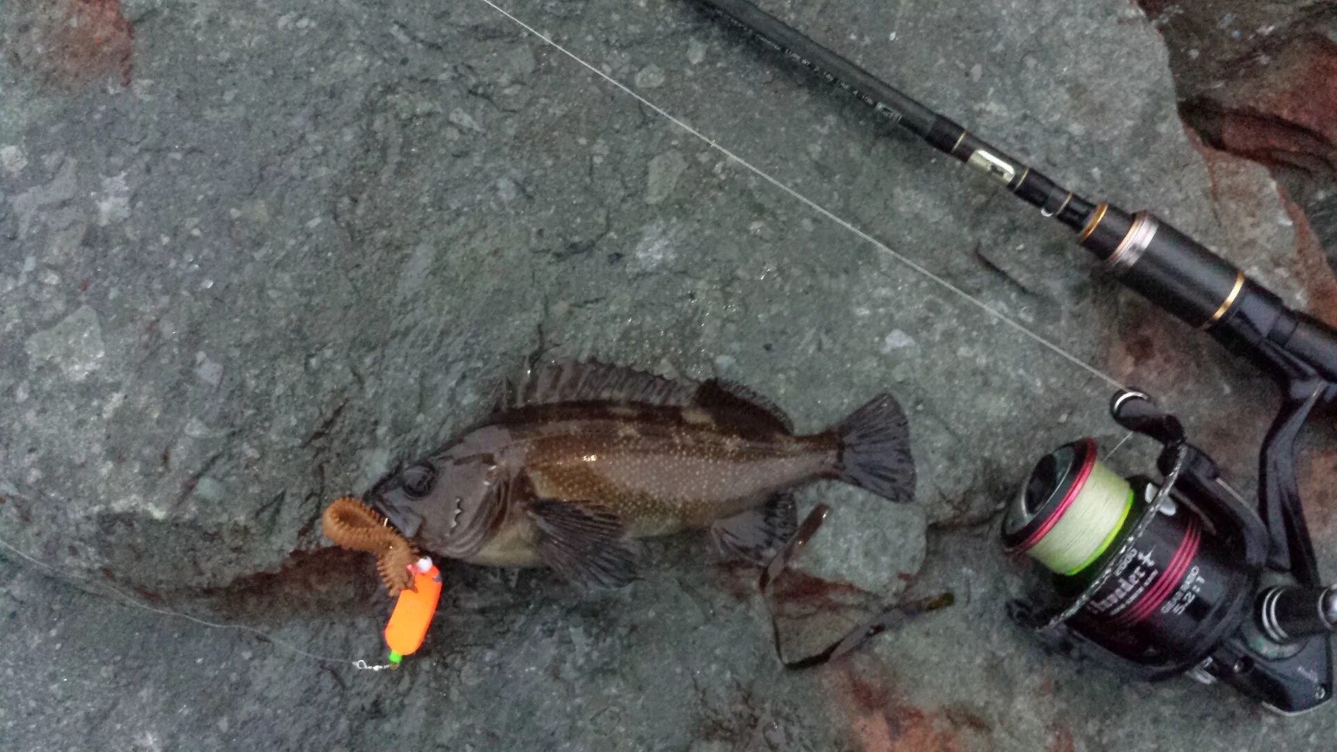 Рыбалка у володарского моста. Рыбачит под мостом. Рыбалка остров русский. Рыбалка под мостом. Ловля под мостом.