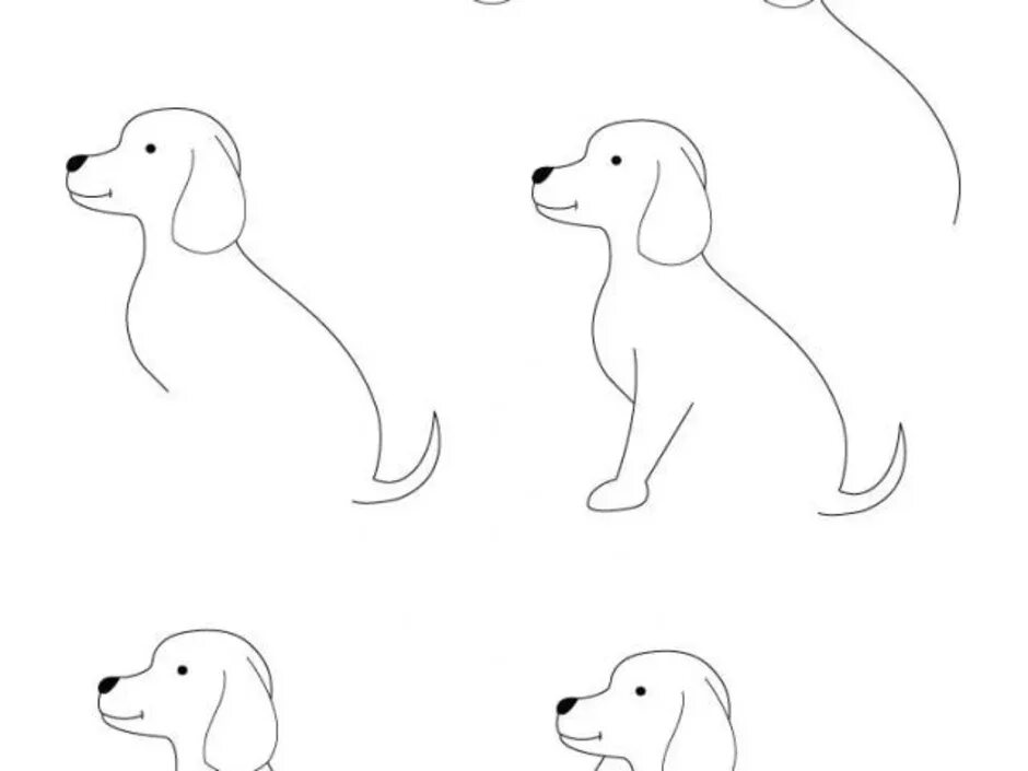 Быстро и легко нарисовать собаку. Собака рисунок. Этапы рисования собаки для детей. Рисунок собачки для срисовки. Собака рисунок карандашом.