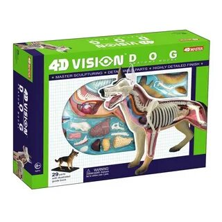 4d master