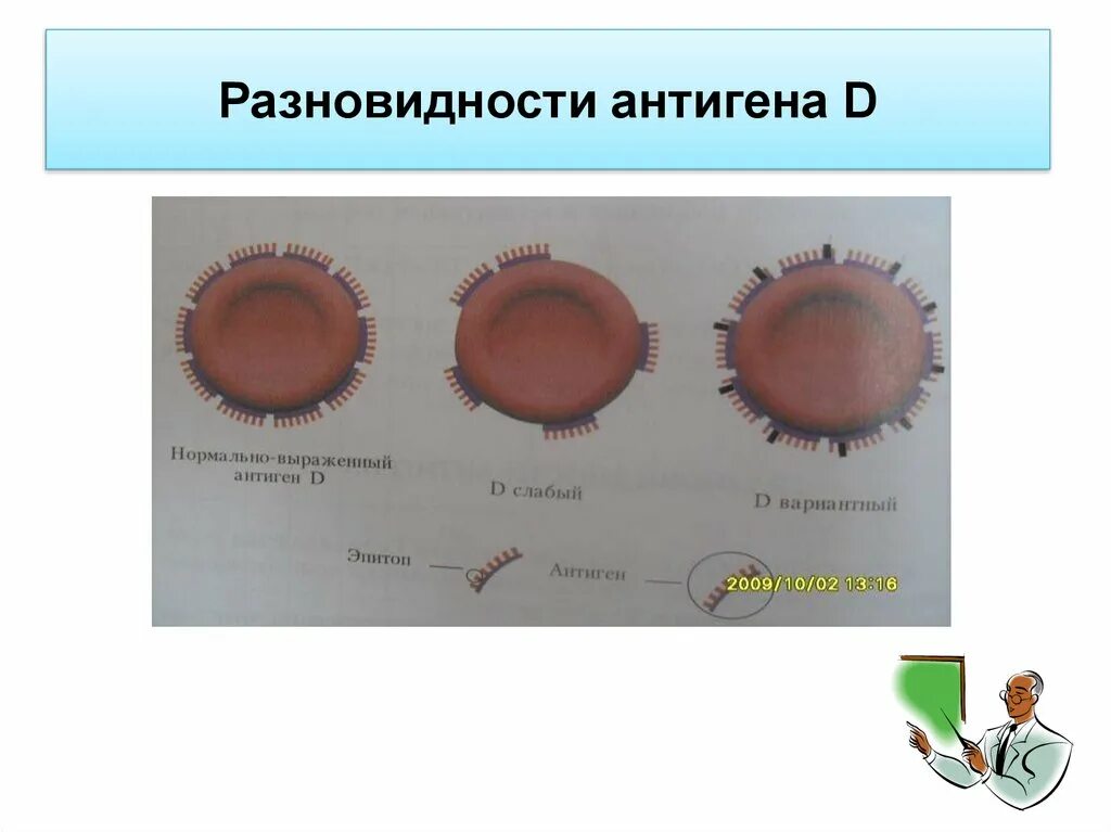 Выработка антигенов. Антиген как выглядит. Антиген d. Слабый д антиген. Вариантный антиген d.