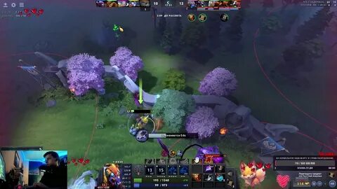 Testy drop дота