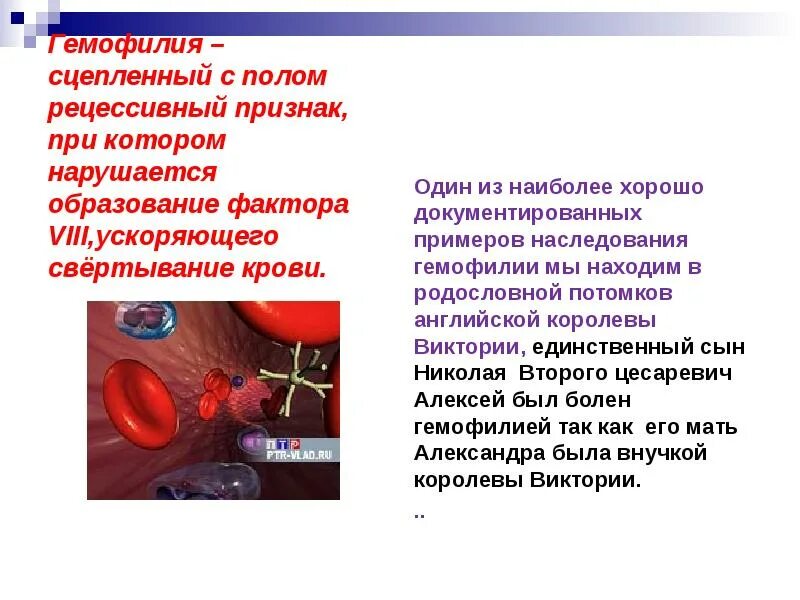 Рождение ребенка с гемофилией признак живого. Гемофилия сцепленное с полом. Болезнь гемофилия тип наследования. Всемирный день гемофилии. Наследственная болезнь гемофилия.