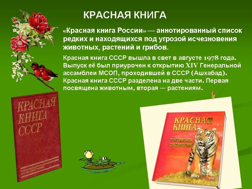 Книга о россии 4 класс. Проект красная книга. Красная книга презентация. Проект красная книга России. Красная книга 2 класс.