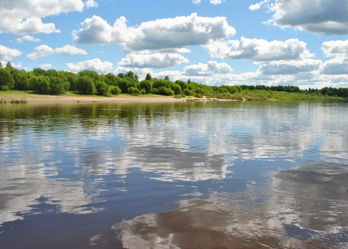 Река Ветлуга Краснобаковский район. Ветлуга приток Волги. Река Ветлуга Нижегородская. Река Ветлуга Нижегородская область. Водные богатства нижегородской области