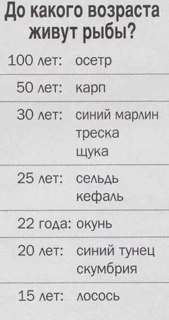 Продолжительность жизни рыбок. Сколько живут рыбы. Продолжительность жизни рыб. Продолжительность жизни пресноводных рыб. Сколько в среднем живут рыбы.