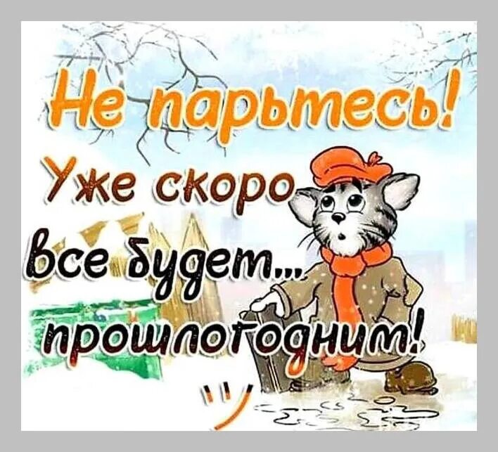 Зима закончилась и вот я начинаю жить. Уже скоро новый год приколы. Статусы про конец года. Статусы юмор. Скоро уже скоро.