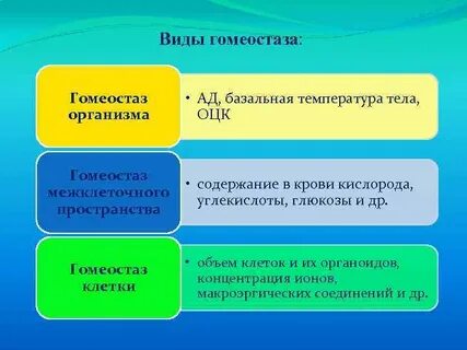 Гомеостаза 1