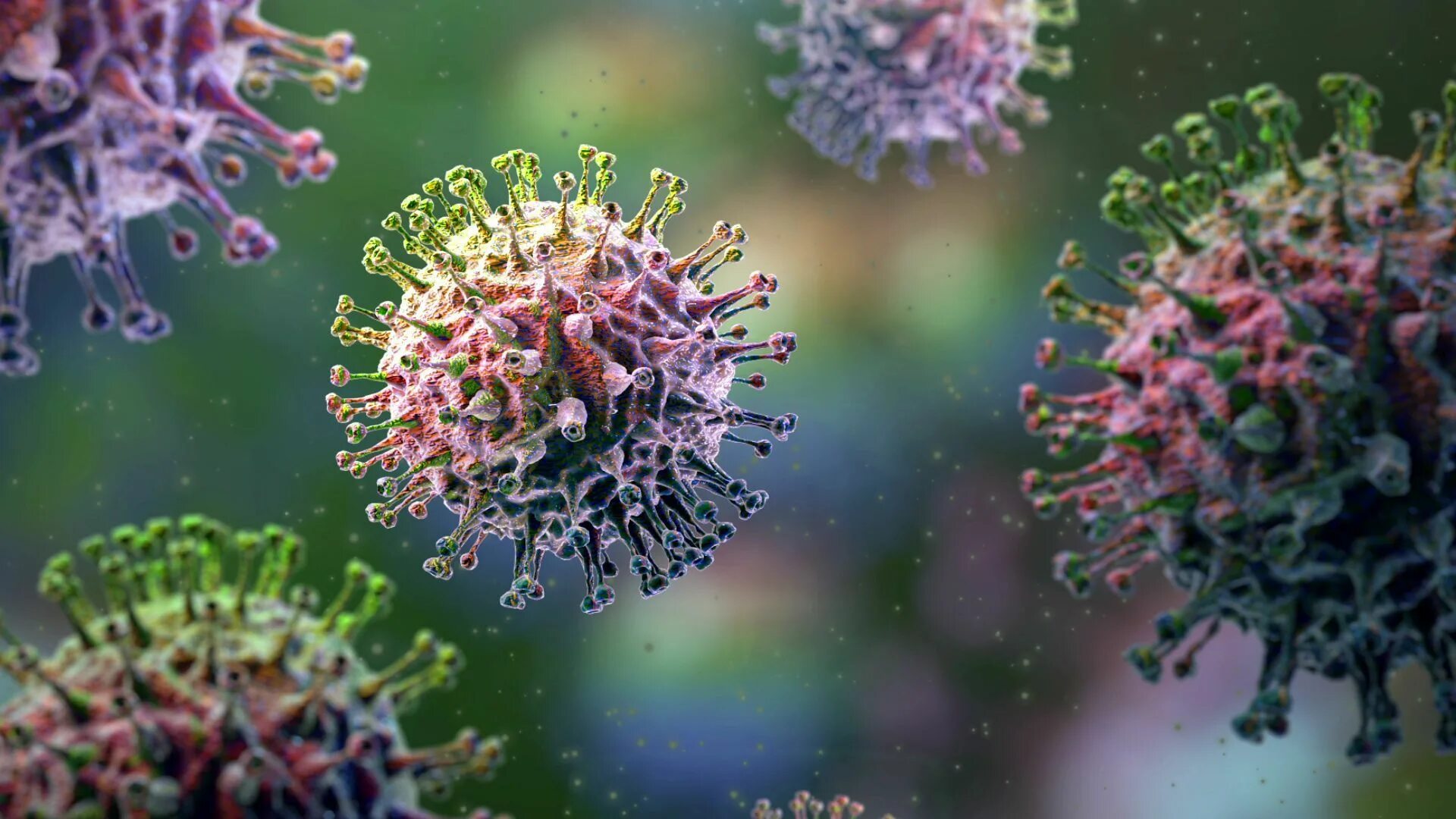 Старые вирусы видео. Старые вирусы видео. Коронавирус молекула. Вирус гриппа фото. Лего коронавирус.