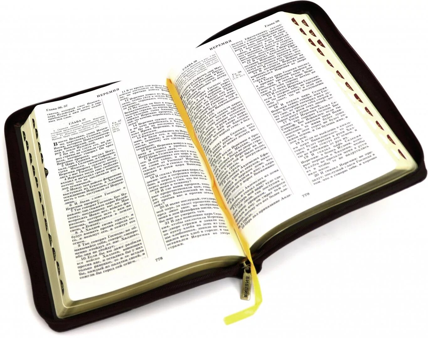 Книга библа. Библия. Библия книга. Синодальная Библия. Открытая Библия.