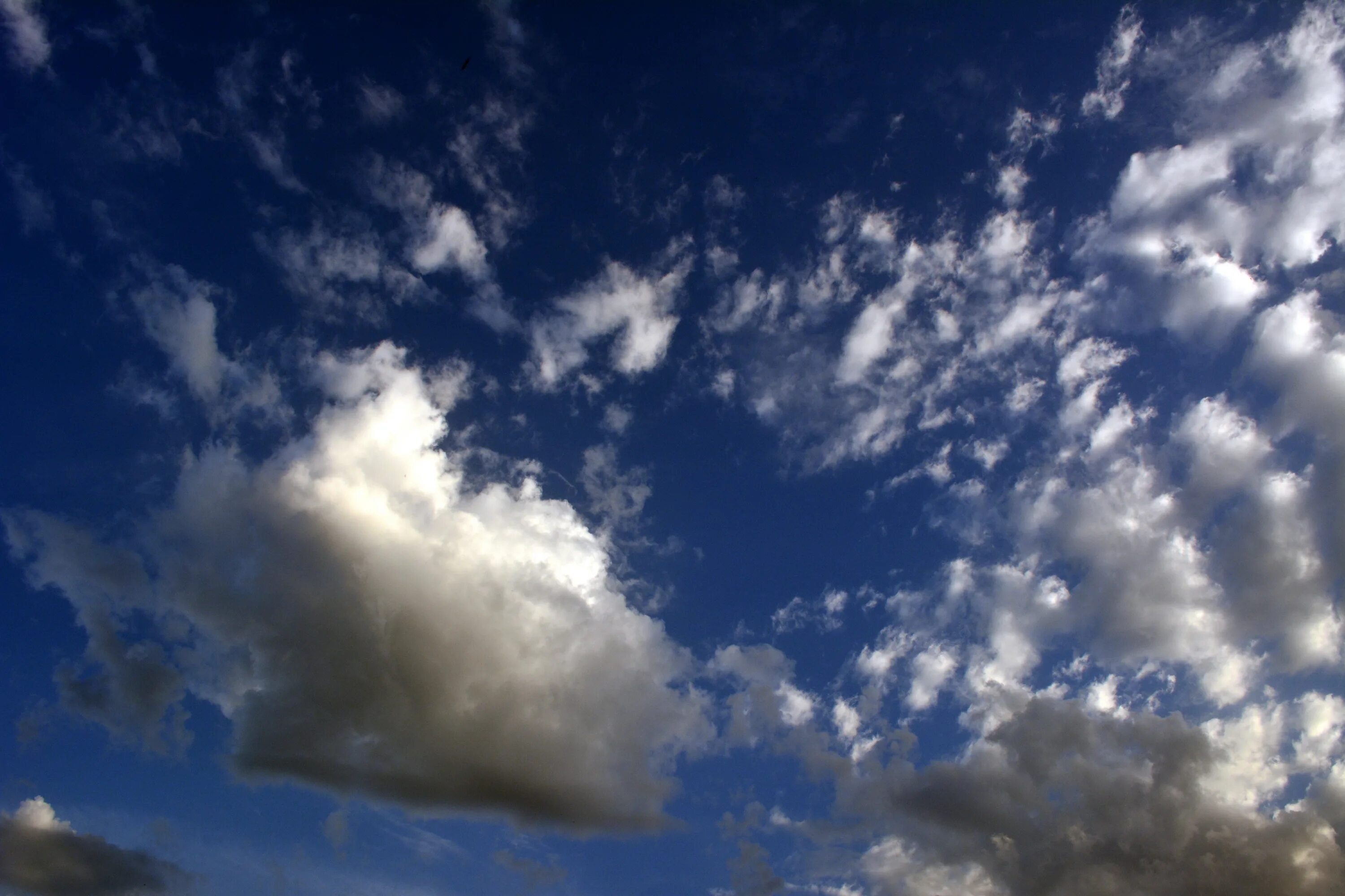 И видишь ты синий свод небес. Кучевые облака. Сплошная облачность. Синее небо с облаками. Небо дневное атмосфера.