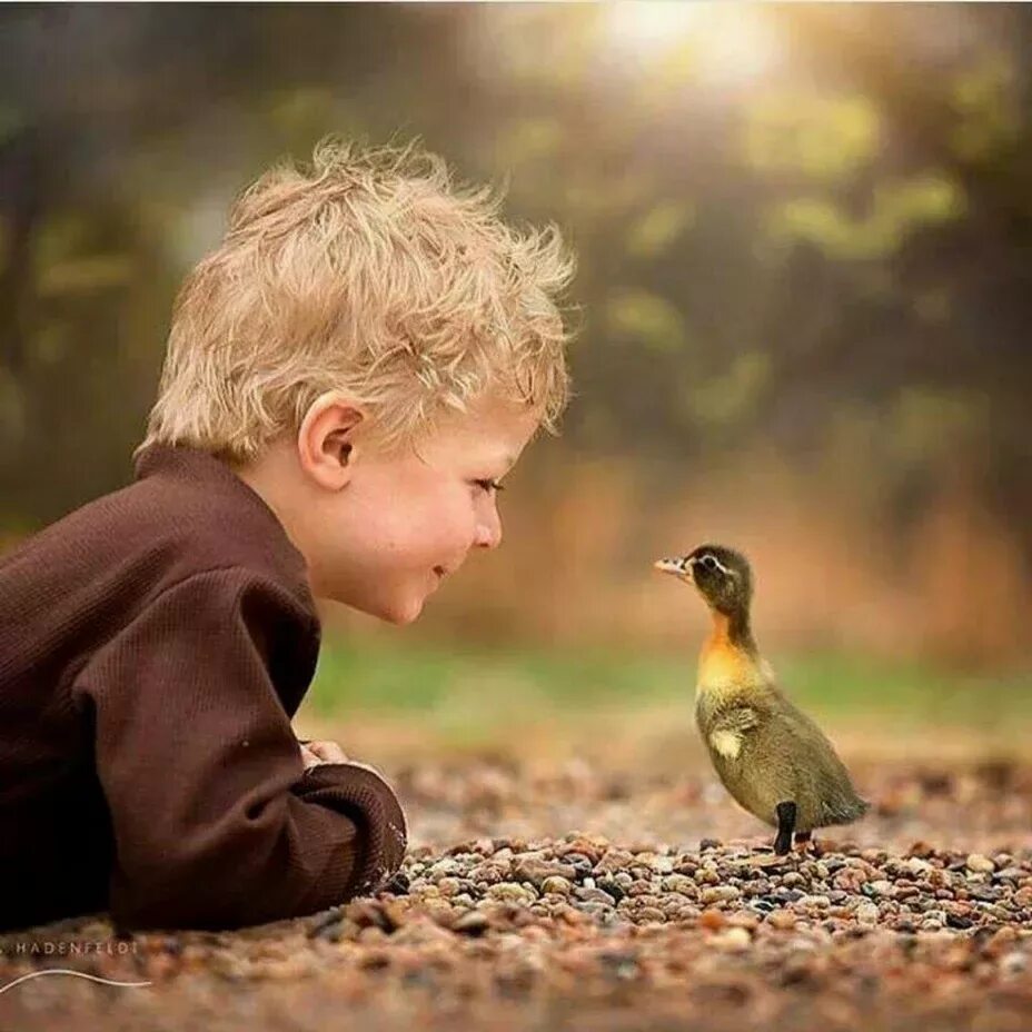 If you show kindness an animal it. Птицы для детей. Дети и природа. Для детей. Животные. Мальчик и птичка.