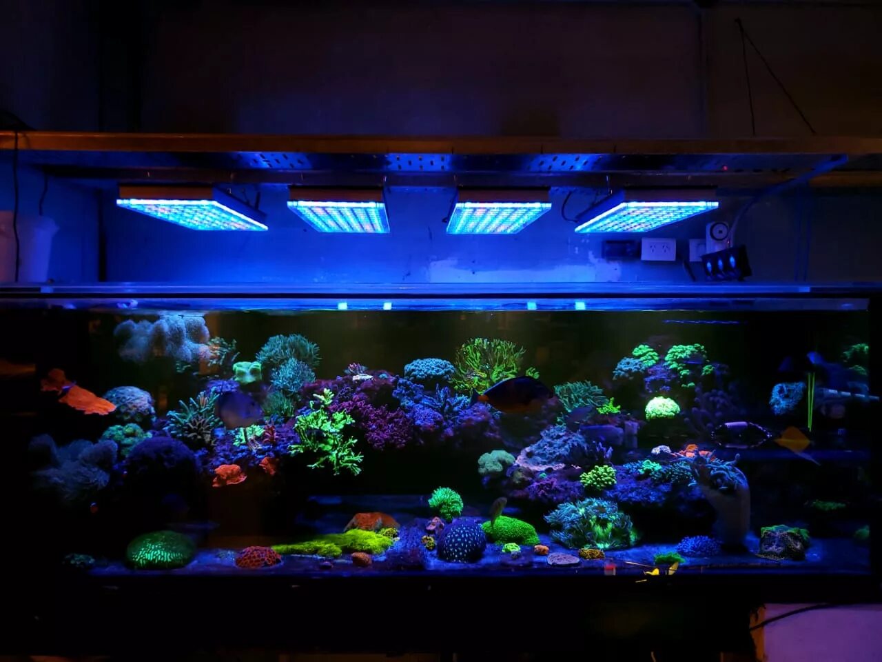 Аквариум led освещение. Smart aquarium light led gr-75. aibao led aquarium. licah aquarium plant led light ldp-900. подсветка аквариума снизу.