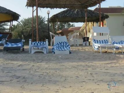 Flamingo beach отзывы