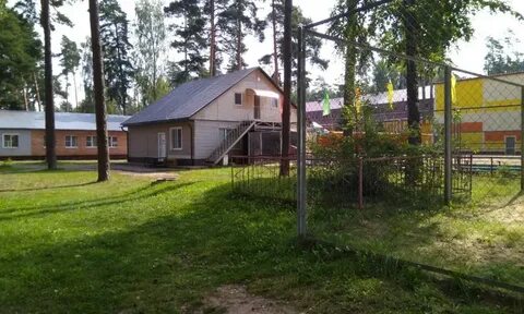 Бор отзывы