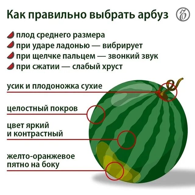 Как правильно есть арбуз до или. Как правильно выбрать арбуз. день арбуза. всемирный день арбуза. день арбуза 3 августа.