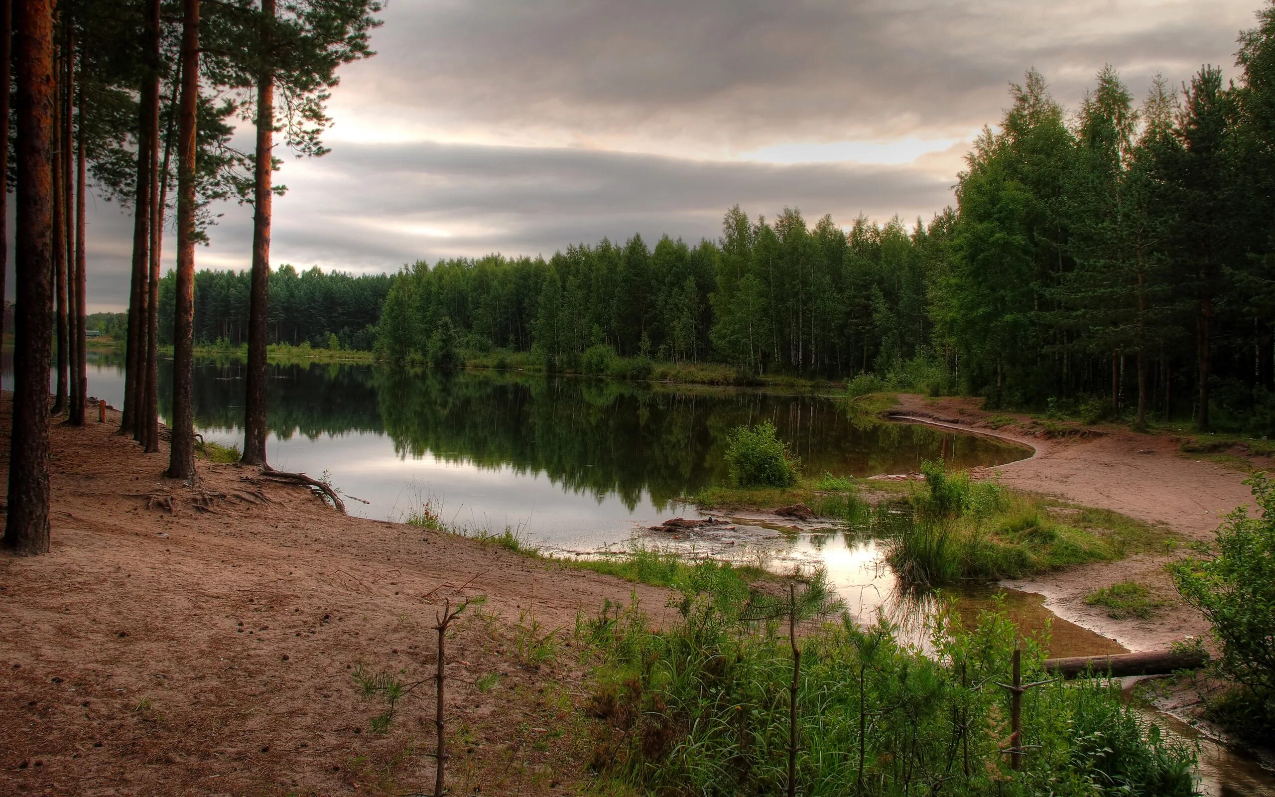 Озеро возле леса. Озеро Песчаное Струги красные. Струги красные озеро. Сосновый Бор Подмосковье водохранилище. Озеро зеленое Лужский район.