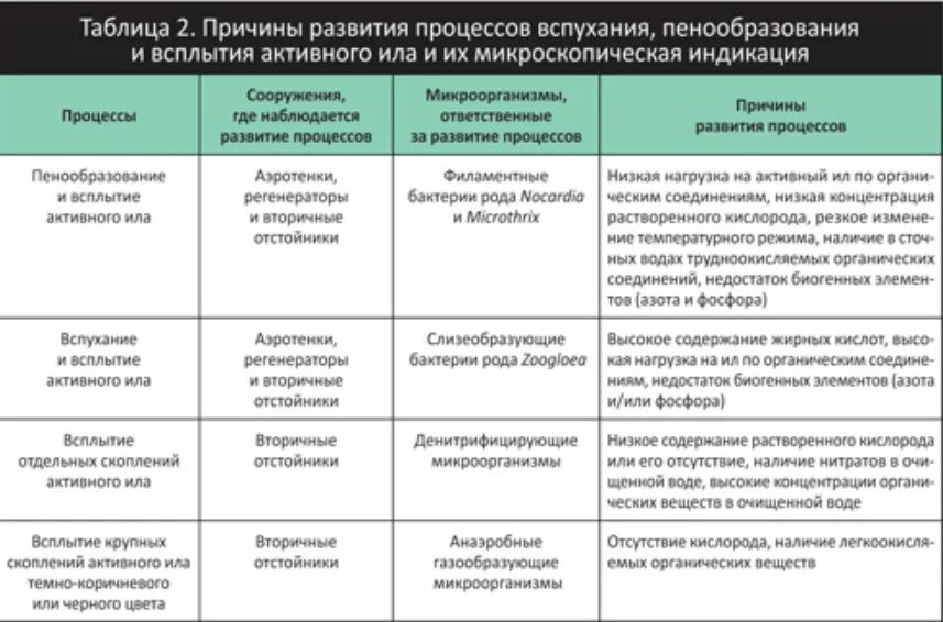 Содержание ила. Микроорганизмы активного ила. вспухание активного ила причины. виды микроорганизмов активного ила. организмы активного ила.