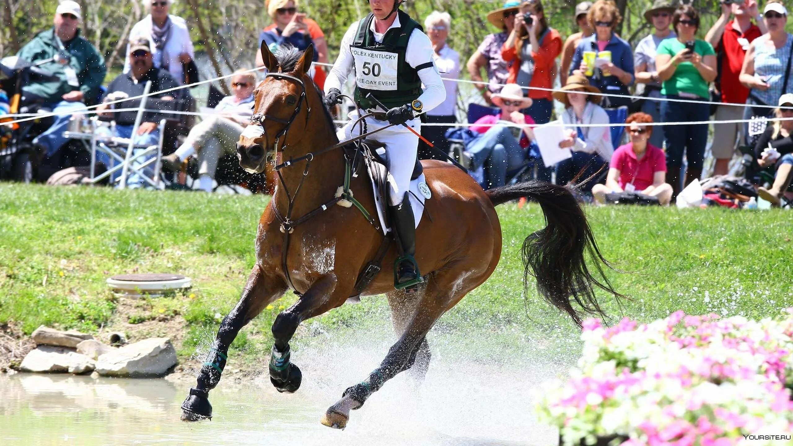 Конкур. Equestrian спорт. Орловское подворье конкур. 3 day eventing