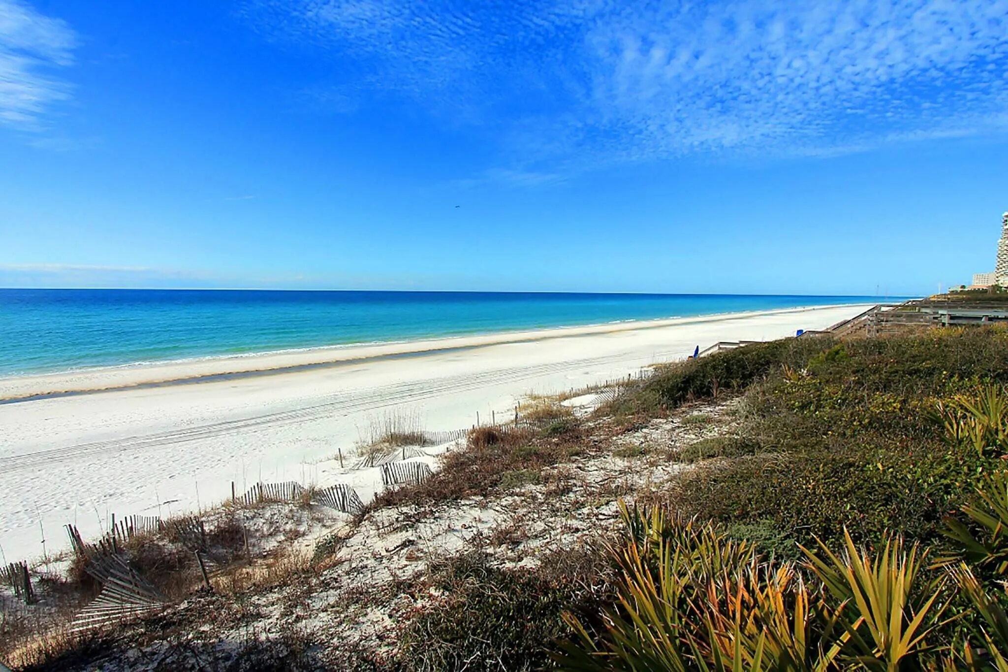 Уолтон Бич Австралия. Флорида Уолтон Бич. Panama City Beach. Emerald Coast Beach. Coast holidays