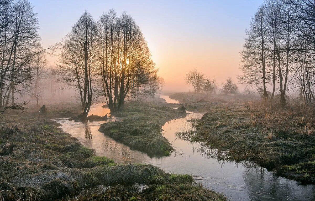 Пейзажи россии. Красивые пейзажи ранней весны. Красивые пейзажи ранней весны. Весенний лес в тумане. Весенний пейзаж.