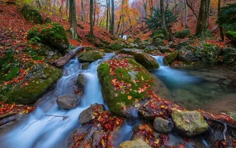 Natural fall