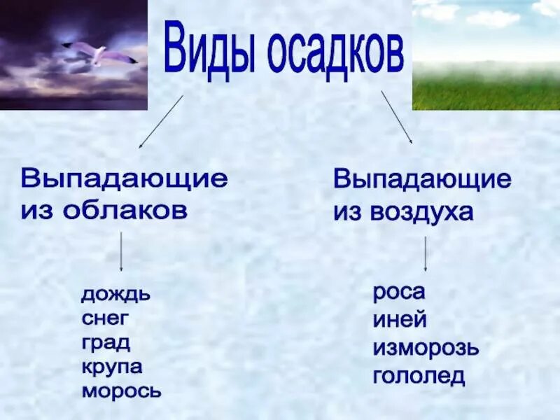 Виды осадков. Атмосферные осадки. Облака и атмосферные осадки. Атмосферные осадки для детей. Какие облака могут принести затяжные дожди