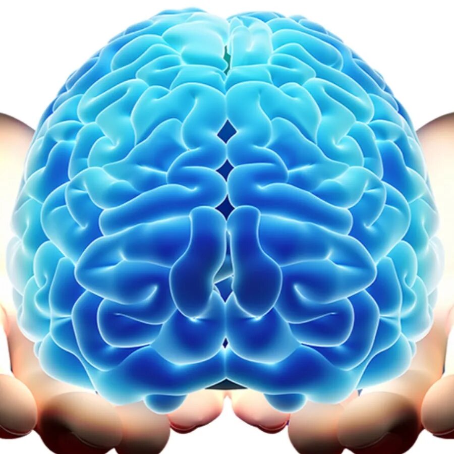 Голубой мозг. Светящийся мозг. Мозг символ.