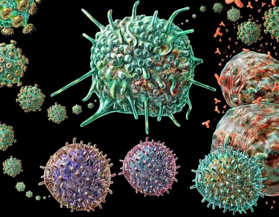 Насколько вирус. Вирусы под микроскопом. Вирус ВИЧ под микроскопом. Вирусы фото. ВИЧ изображение вируса.