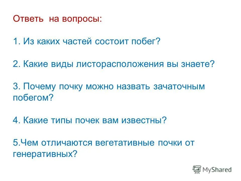Почему почка зачаточный побег. Почку называют зачаточным побегом потому что. Почему почка зачаточный побег. Почему почему можно назвать зачаточным побегом. Почему почему можно назвать зачаточным побегом.